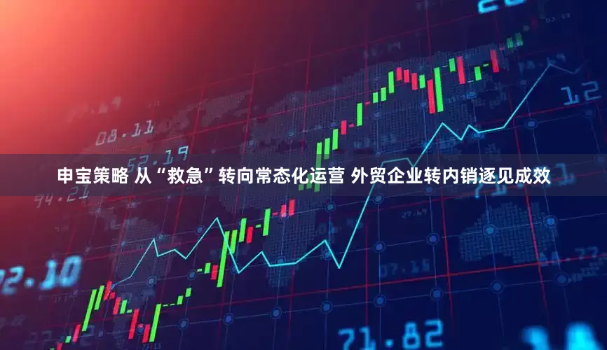申宝策略 从“救急”转向常态化运营 外贸企业转内销逐见成效
