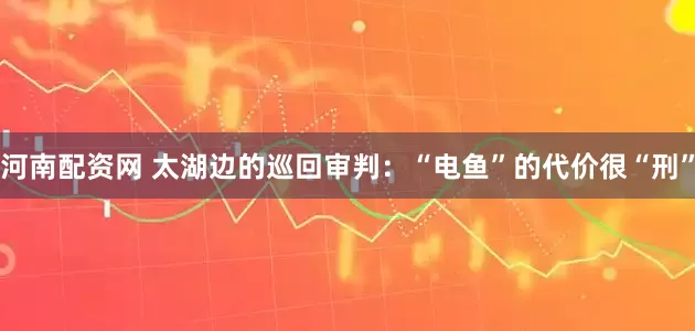 河南配资网 太湖边的巡回审判：“电鱼”的代价很“刑”