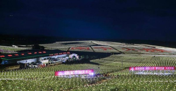 海龟网 2025广西乡村旅游嘉年华活动在南宁隆安举行